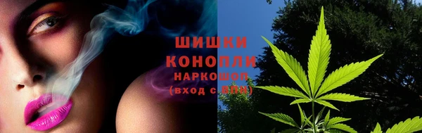 скорость Ладушкин