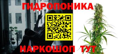 бошки Славгород