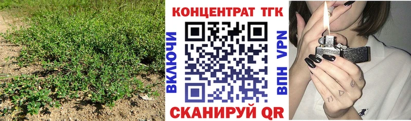 shop наркотические препараты  Сухой Лог  Дистиллят ТГК вейп с тгк  кракен маркетплейс 