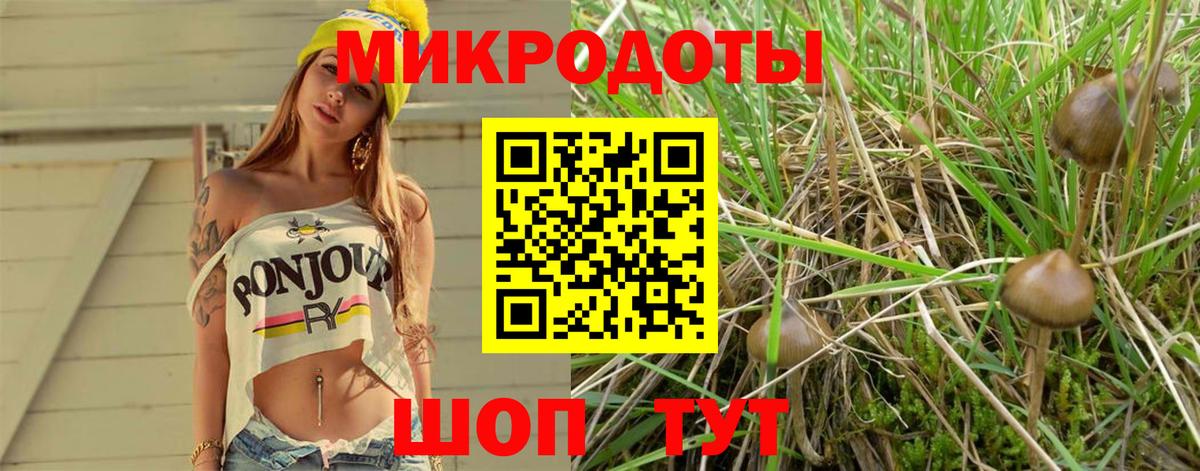 Галлюциногенные грибы ЛСД Сухой Лог