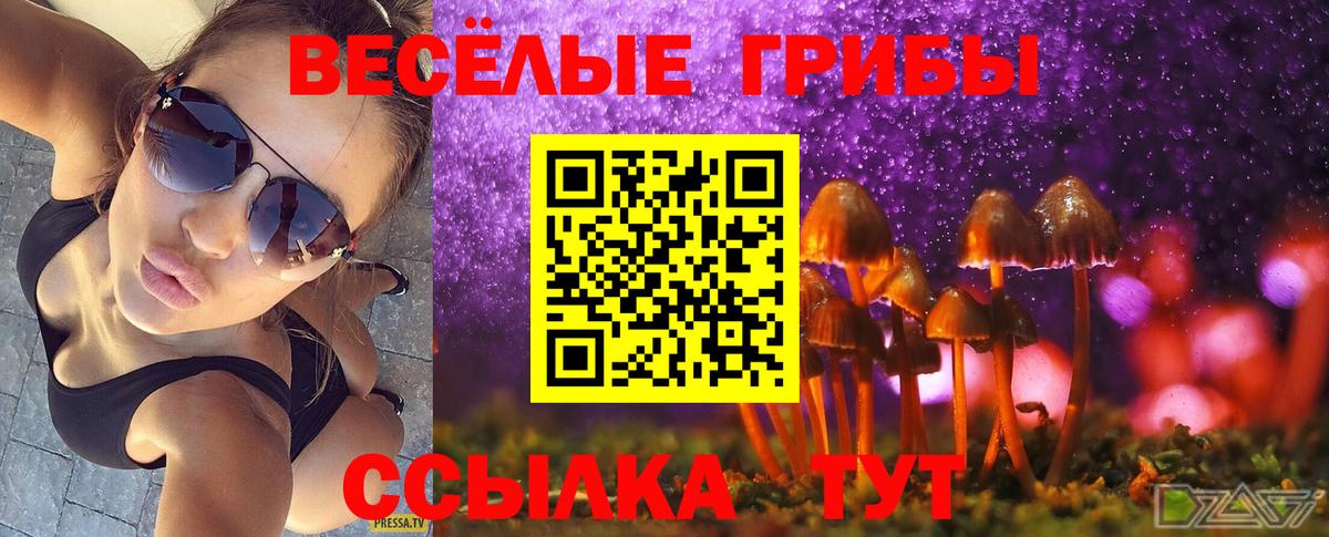 Псилоцибиновые грибы мицелий  Псилоцибиновые грибы ЛСД  Вход с VPN  Сухой Лог 