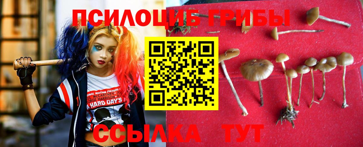 Гашиш  ТГК  Меф МЯУ МЯУ   Сухой Лог  Вход с VPN  ЭКСТАЗИ  ГАШИШ  НБОМе  МАРИХУАНА  COCAIN 